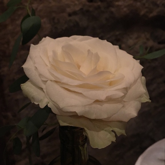 ryilieraelove1